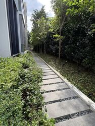 The Lilium (D19), Condominium #520311541